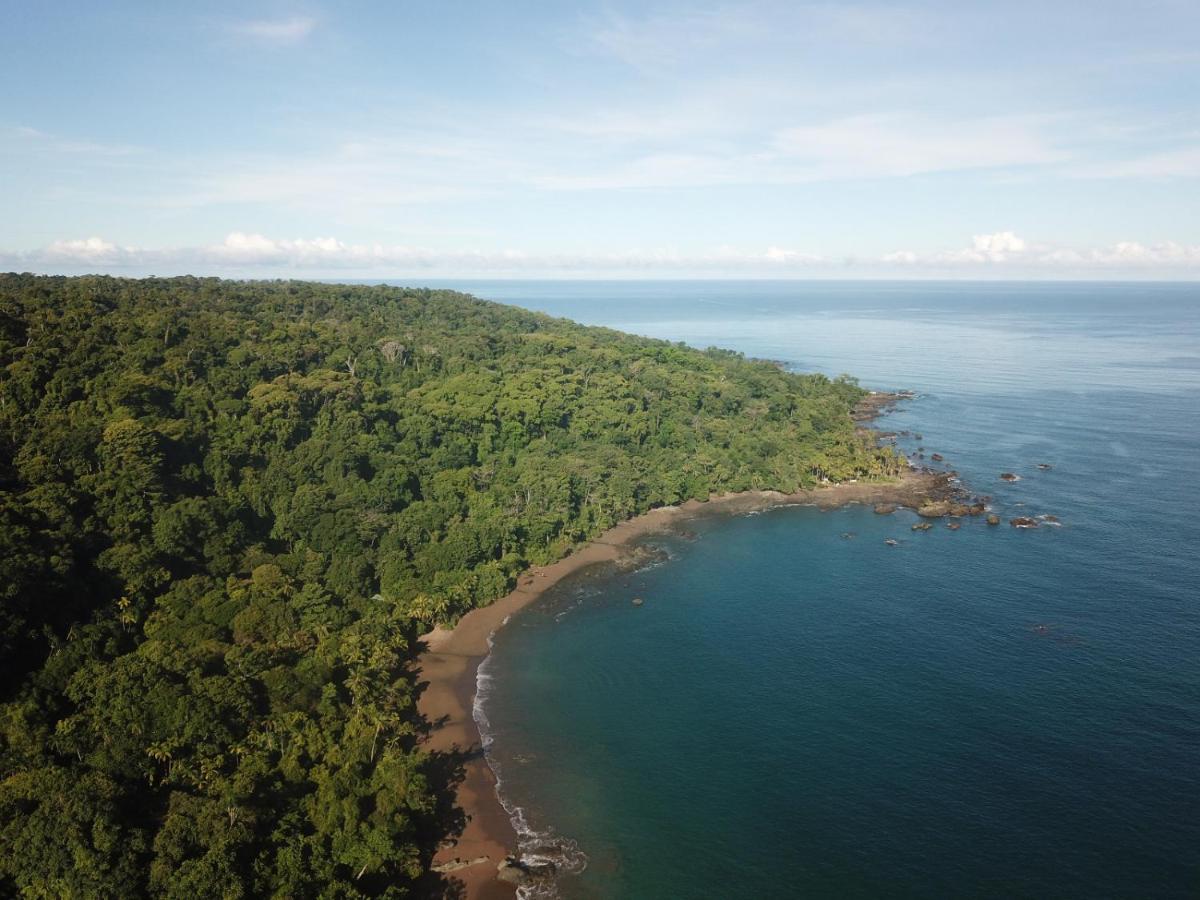 Hotel Gitana Corcovado, Y Tour Operador Drakes Bay Eksteriør billede