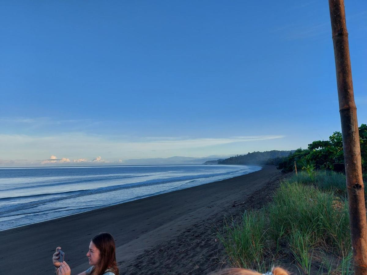 Hotel Gitana Corcovado, Y Tour Operador Drakes Bay Eksteriør billede