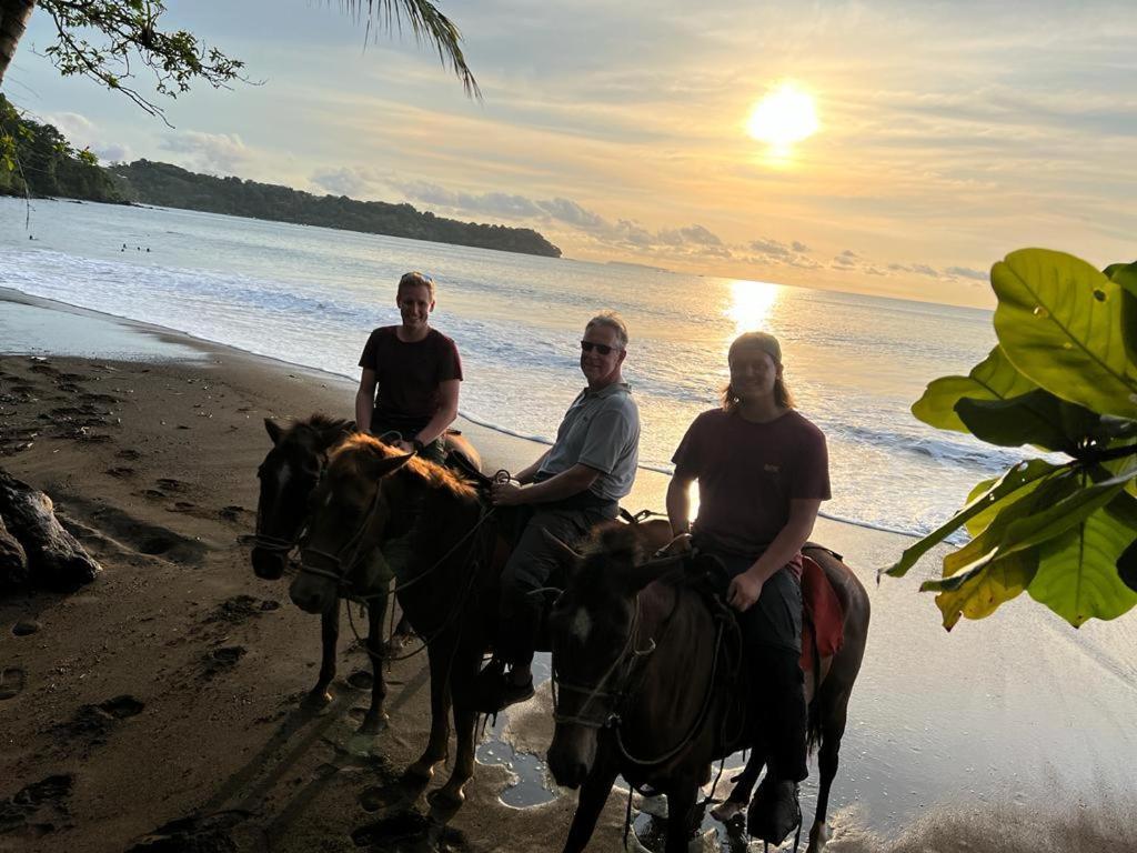 Hotel Gitana Corcovado, Y Tour Operador Drakes Bay Eksteriør billede