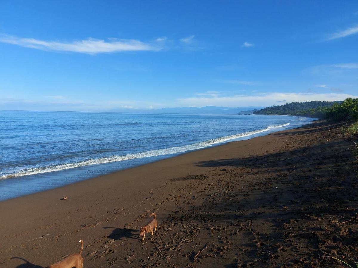 Hotel Gitana Corcovado, Y Tour Operador Drakes Bay Eksteriør billede