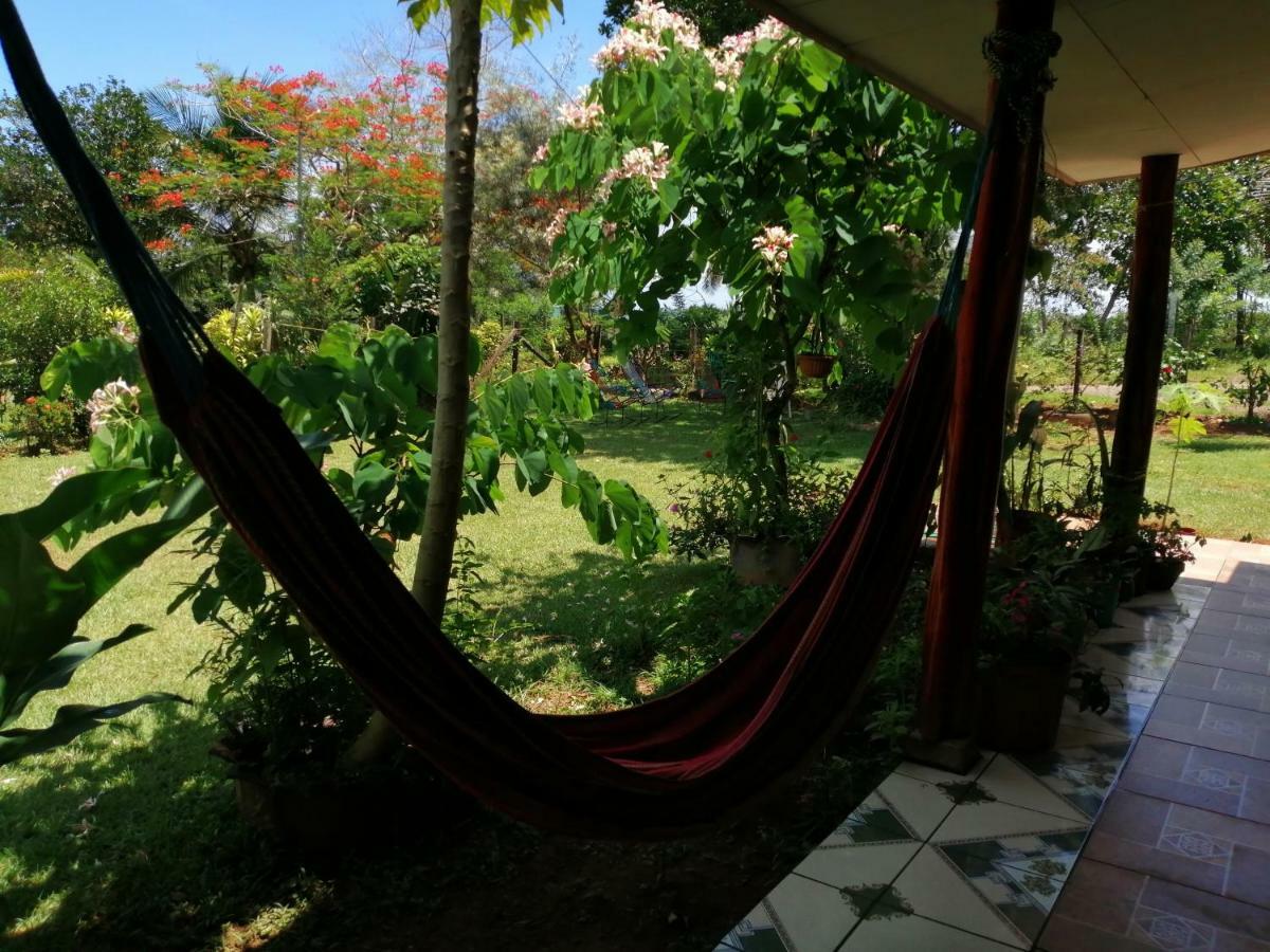 Hotel Gitana Corcovado, Y Tour Operador Drakes Bay Eksteriør billede